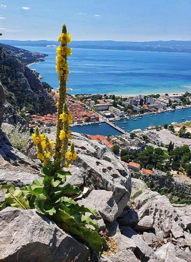 Amazing Sea View Lägenhet Omiš Exteriör bild